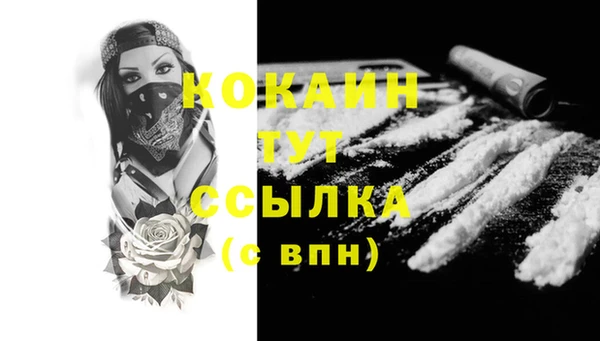 МДПВ Абаза
