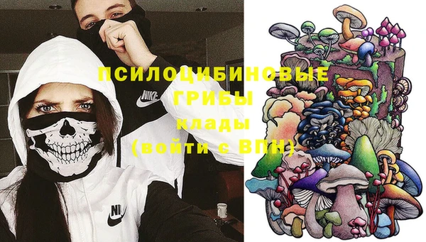 тгк Рославль