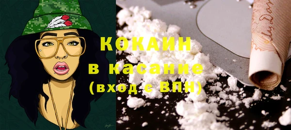 хмурый Алексин